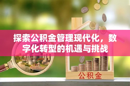 成都探索公积金管理现代化，数字化转型的机遇与挑战