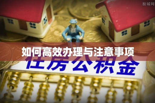 成都如何高效办理与注意事项