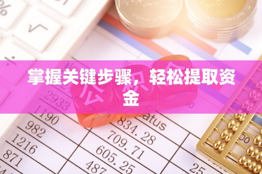 成都掌握关键步骤，轻松提取资金
