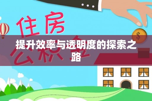 成都提升效率与透明度的探索之路