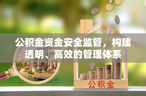 成都公积金资金安全监管，构建透明、高效的管理体系