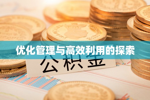 成都优化管理与高效利用的探索