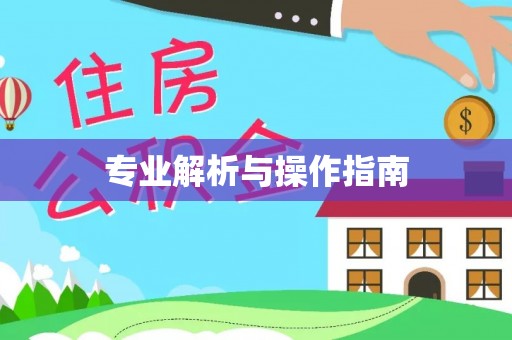 成都专业解析与操作指南
