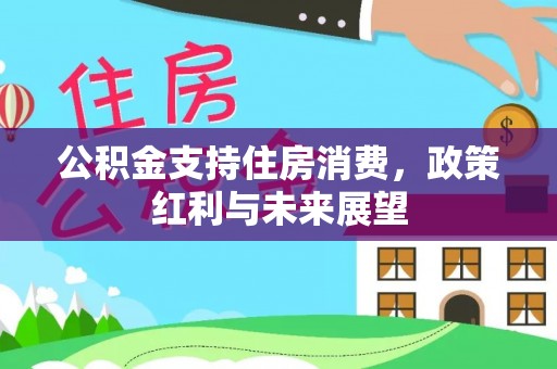 成都公积金支持住房消费，政策红利与未来展望