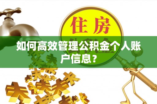 成都如何高效管理公积金个人账户信息？
