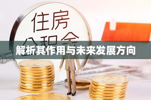 成都解析其作用与未来发展方向